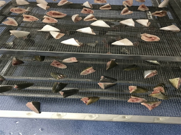 魚(yú)不銹鋼烘干盤