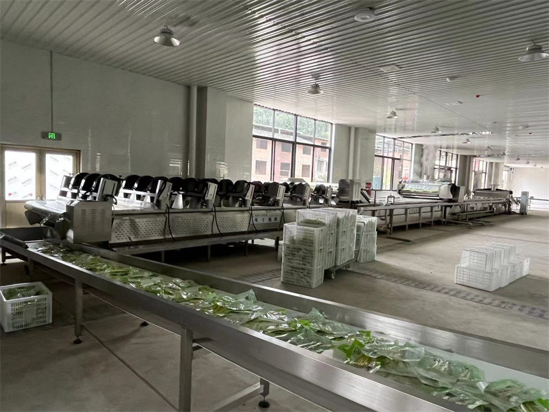 泡椒竹筍巴氏滅菌、冷卻、風(fēng)干流水線(xiàn)