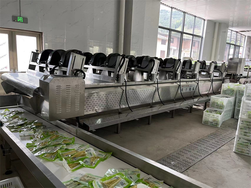 泡椒竹筍巴氏滅菌、冷卻、風(fēng)干流水線