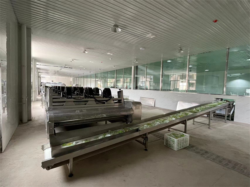 泡椒竹筍巴氏滅菌、冷卻、風(fēng)干流水線