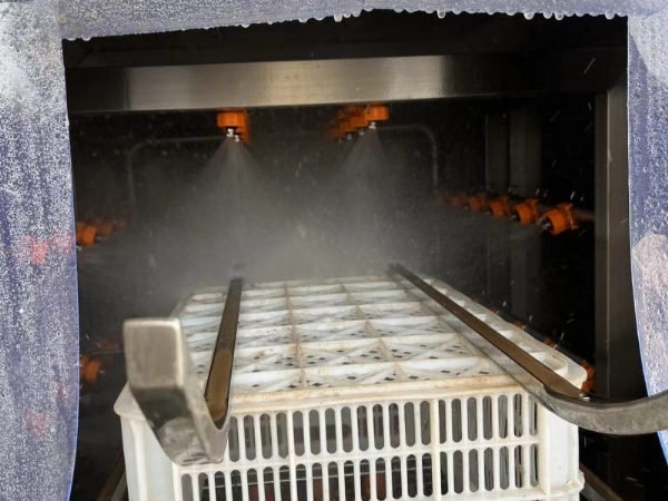 蔬菜周轉筐清洗機