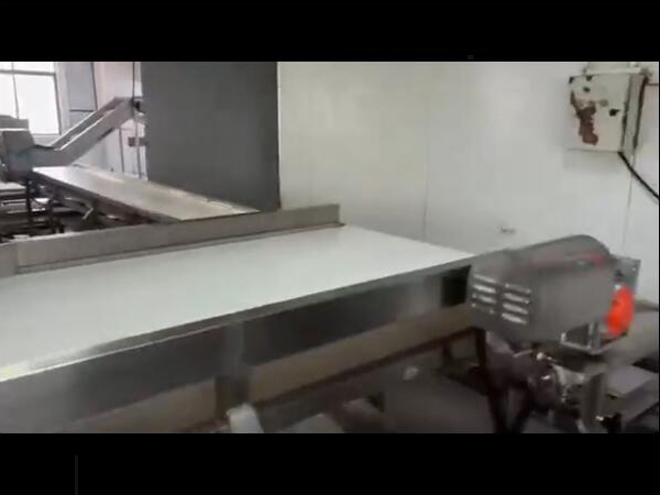 雞鴨副產(chǎn)品（魚類、海產(chǎn)等）解凍清洗蒸煮流水線